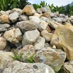 來(lái)自南投信義鄉(xiāng)的『塔塔加石』，外型紋理錯(cuò)綜分布、加上石材密度較高，不容易生長(zhǎng)青苔，也是挑選景觀石頭的首選之一。