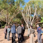 親自確認並檢查樹種的生長狀況，看葉片茂盛程度與樹形，彷彿能預見社區(qū)未來的質(zhì)感一景。
