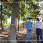 新業(yè)建設(shè) 簡福榮 總經(jīng)理(右一) 與景觀設(shè)計團隊逐步討論，樹種與樹高，為建築尋找契合的對象。