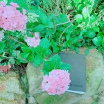 枕在石上的手札本，藏在詩中的少女情懷正等著誰翻閱？