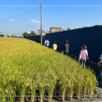 有用心栽培的樹種，新業(yè)便踏著腳步前往尋蹤，期望樹木與建築能自然地融合，
模糊與天地大美的界線。