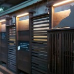 在黃光暈染下，貓也慵懶地窩著身子，大樹時(shí)而抖落紅葉，正等待著，有人攜書悄然來到……