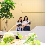 與新業(yè)家族們在午后時刻團聚，一同度過『良辰吉食』的優(yōu)格饗宴。