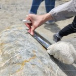 以鋁箔膠帶為記，牽起與新業(yè)的緣分，等待時(shí)機(jī)，即將坐落臺(tái)中『大塊森濤』社區(qū)，延續(xù)自然與人文的美好記憶。