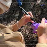 在綁樹帶寫上樹種及編號，每一顆樹都有了印記，都是經(jīng)由新業(yè)職人團隊的專業(yè)見解，及審慎評估後決定出的結(jié)果。我們相信：「不只是我們選樹，樹也在選擇一個值得託付終身的對象」。