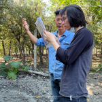 林宜鋒建築師(右一) 與景觀設(shè)計團隊從不同方向繞樹觀察評估，擇樹考量的方方面面，任何角度都要達到美的平衡。