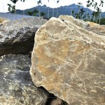 今年盛夏之際，新業(yè)團(tuán)隊(duì)前往南投國(guó)姓鄉(xiāng)，為2025年即將落成的『大塊森濤』，挑選庭園造景的原石。