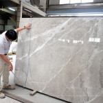 石材表面帶有自然的紋理與色澤，彷彿大地沉積歲月的筆觸，內(nèi)斂卻蘊含力量，新業(yè)職人以獨到眼光揀選，成為空間裡最具靈魂的表達。