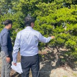 羅漢松為東亞地區(qū)常見(jiàn)的常綠樹木，樹枝柔韌且抗風(fēng)性強(qiáng)，更有象徵幸福安康、健康富貴之意，可謂是造景設(shè)計(jì)的首選。