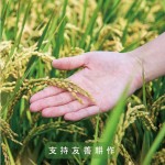 逾11載的『新業(yè)一畝田』－看見霧峰小農(nóng)對(duì)於自然農(nóng)法無農(nóng)藥、無化肥的堅(jiān)持，守護(hù)這份對(duì)土地的溫柔心意，堅(jiān)持契作認(rèn)養(yǎng)，已成為我們的自然，不虧待這樣的純粹及美好，固定贈(zèng)予所有新業(yè)的住戶，讓善的念想在這片大地一直傳遞下去。