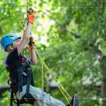 注視著樹頂?shù)墓庥?，設(shè)定小小的目標，努力在有限的時間內(nèi)達到樹冠層。