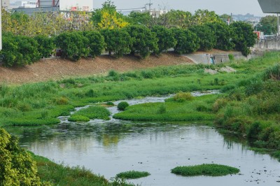 新業(yè)愛地球｜淨(jìng)一條溪，流傳一份美好心意
