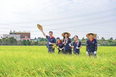 新業(yè)一畝田｜走過11年，心像一畝田