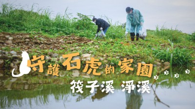 新業(yè) 筏子溪淨(jìng)溪｜守護石虎的家園